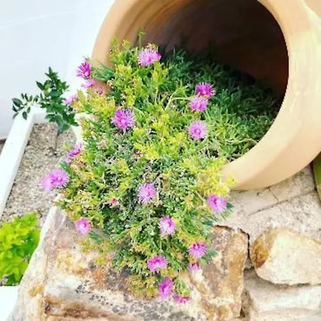 Lesal Rentals, Mar Azul, فيلة *